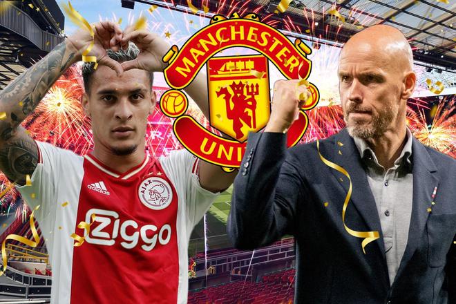 他们很有可 他们很有可